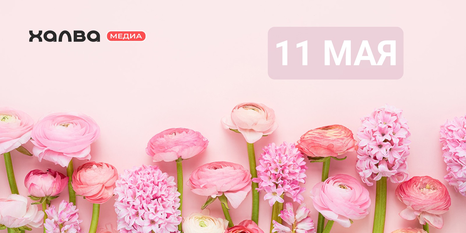 У кого из знаменитостей день рождения 11 мая