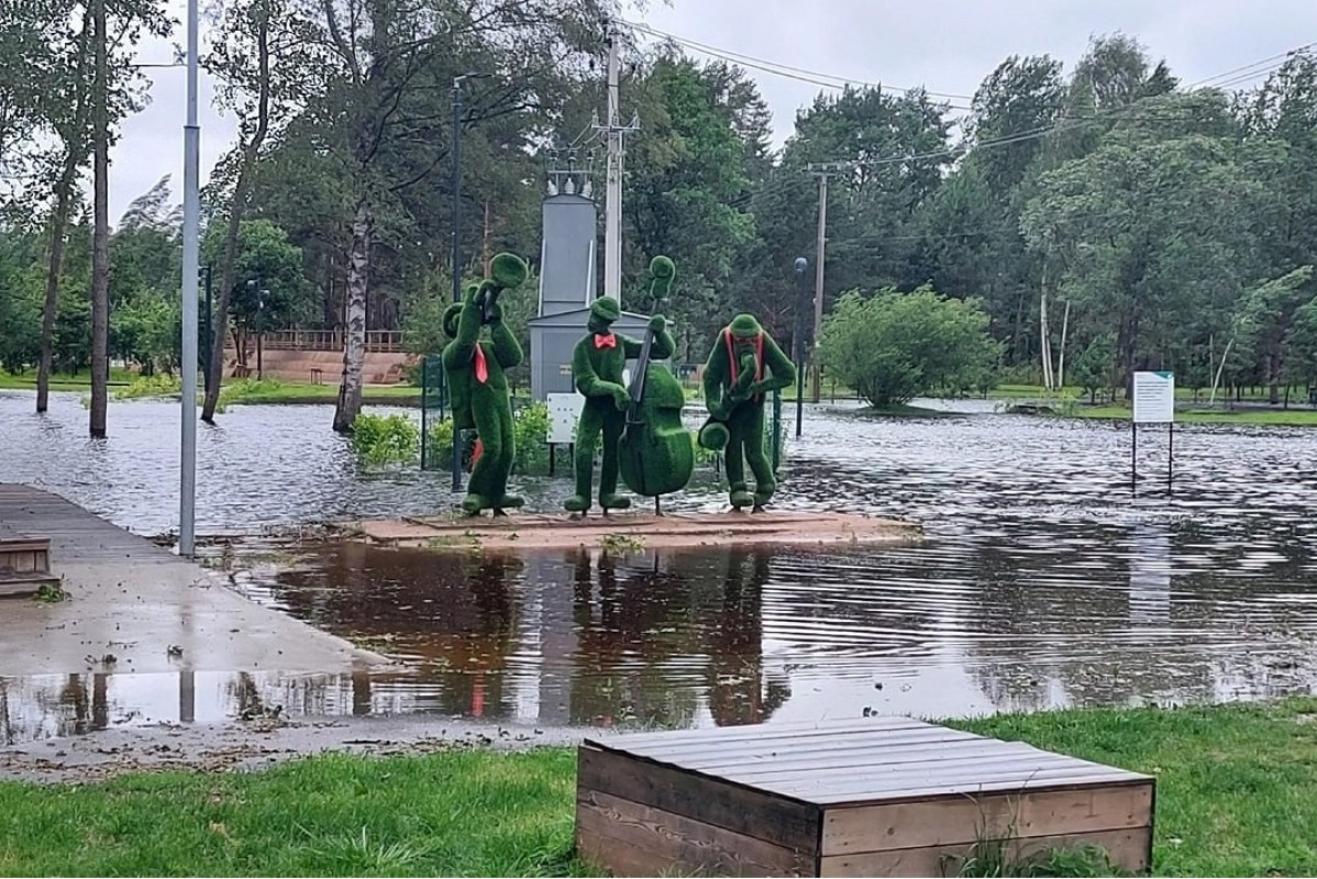 «Енгин» разбушевался: что происходит в Санкт-Петербурге