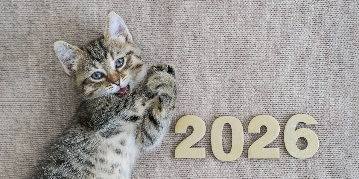 Правительство утвердило праздники и выходные на 2026 год