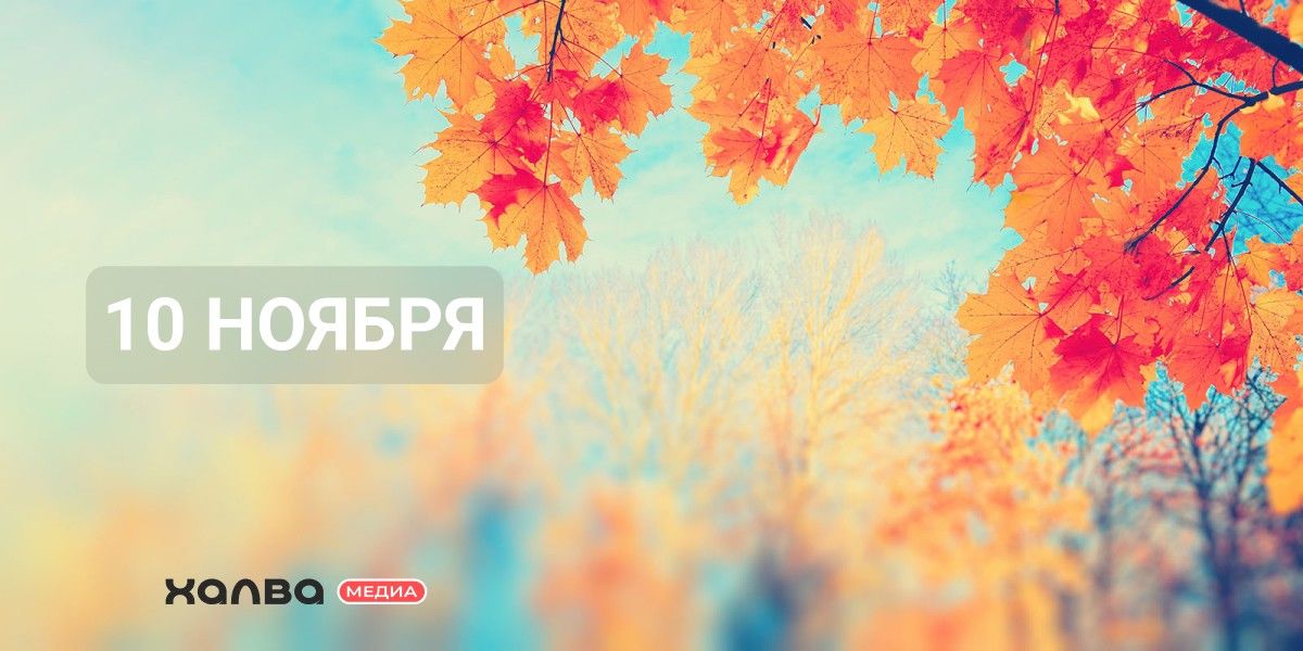 Кто из знаменитостей родился 10 ноября