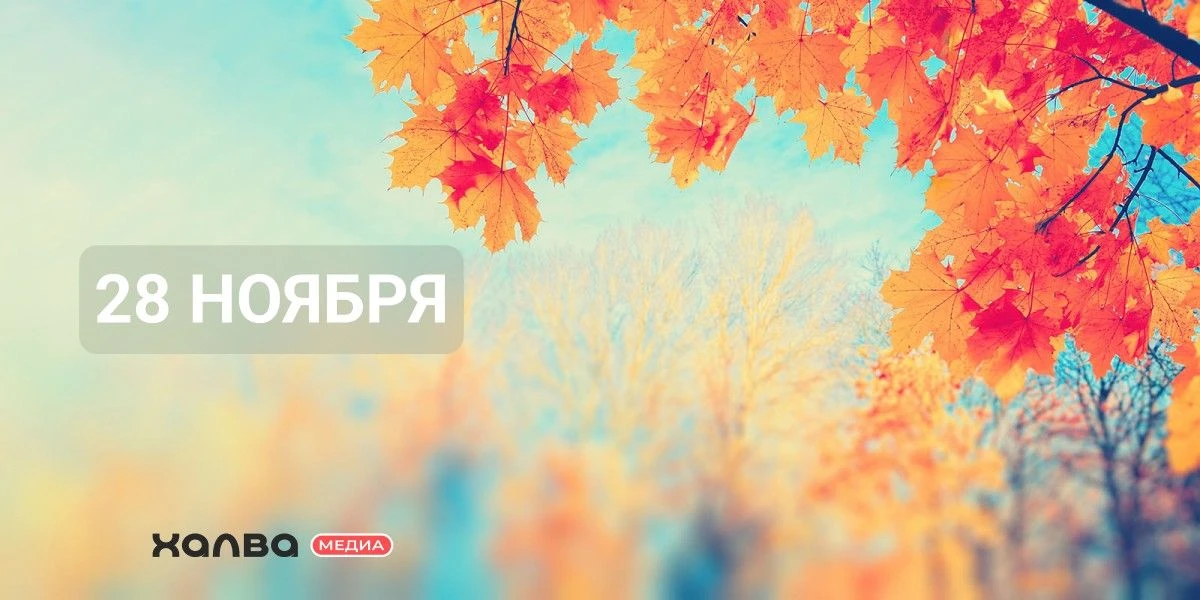 У кого из знаменитостей день рождения 28 ноября