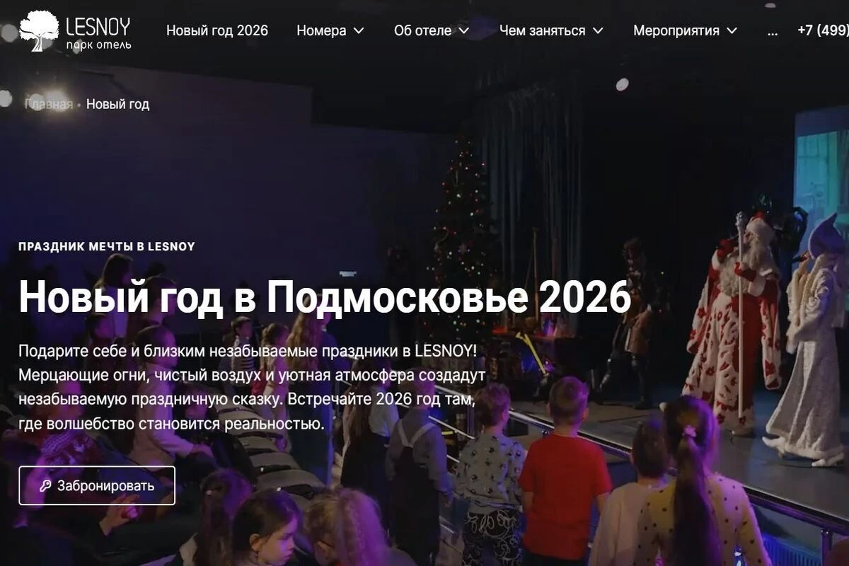 новый год в Подмосковье