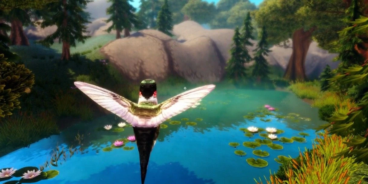 Bird Game 3: что за игра с птицами и существует ли она на самом деле