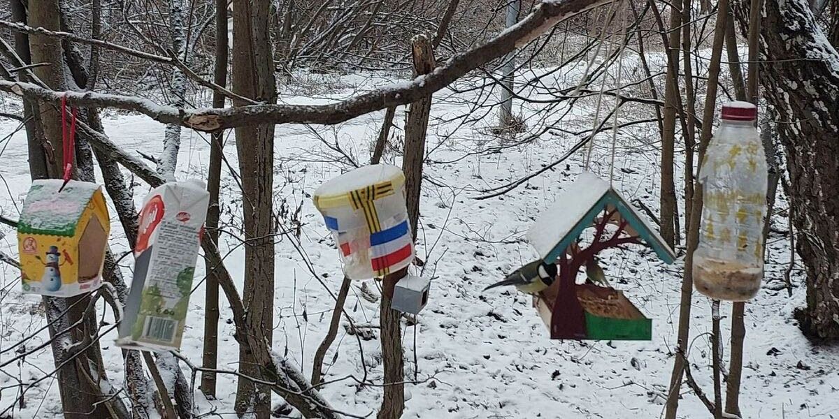 Чем можно кормить птиц зимой: что класть в кормушку, чем угощать синиц и воробьев и почему хлеб вреден