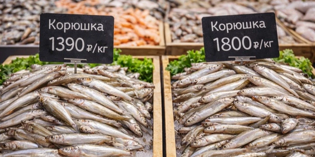 Сезон корюшки в Петербурге: во сколько обойдется кг рыбки в 2026 году (Спойлер: неприлично дорого)