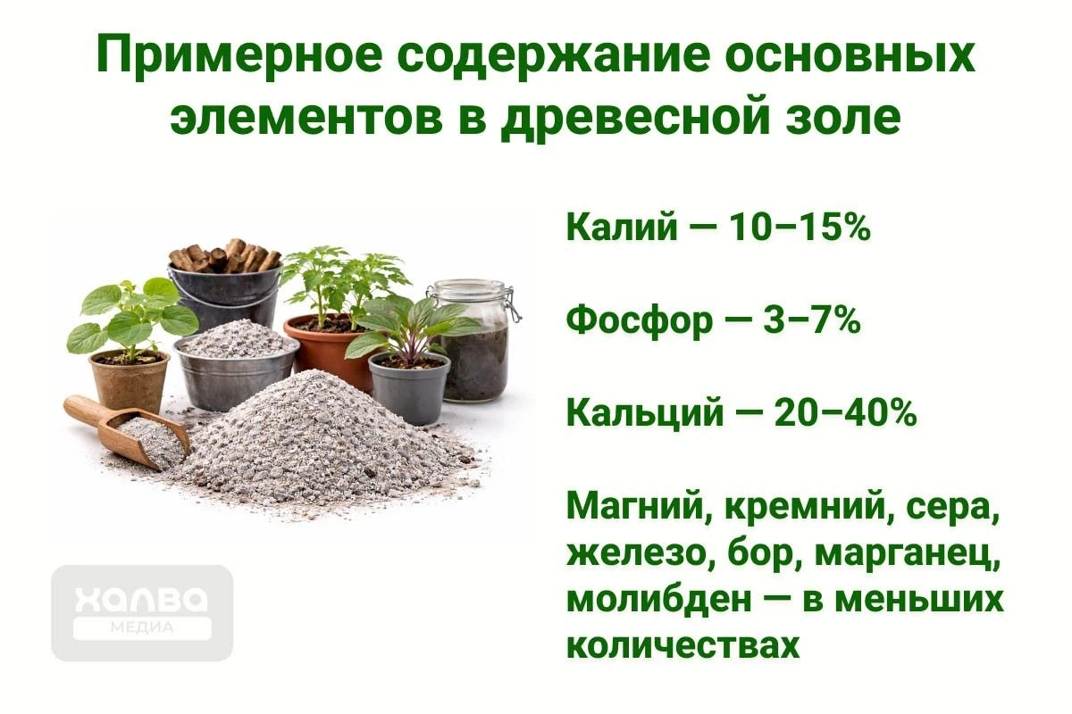 состав древесной золы
