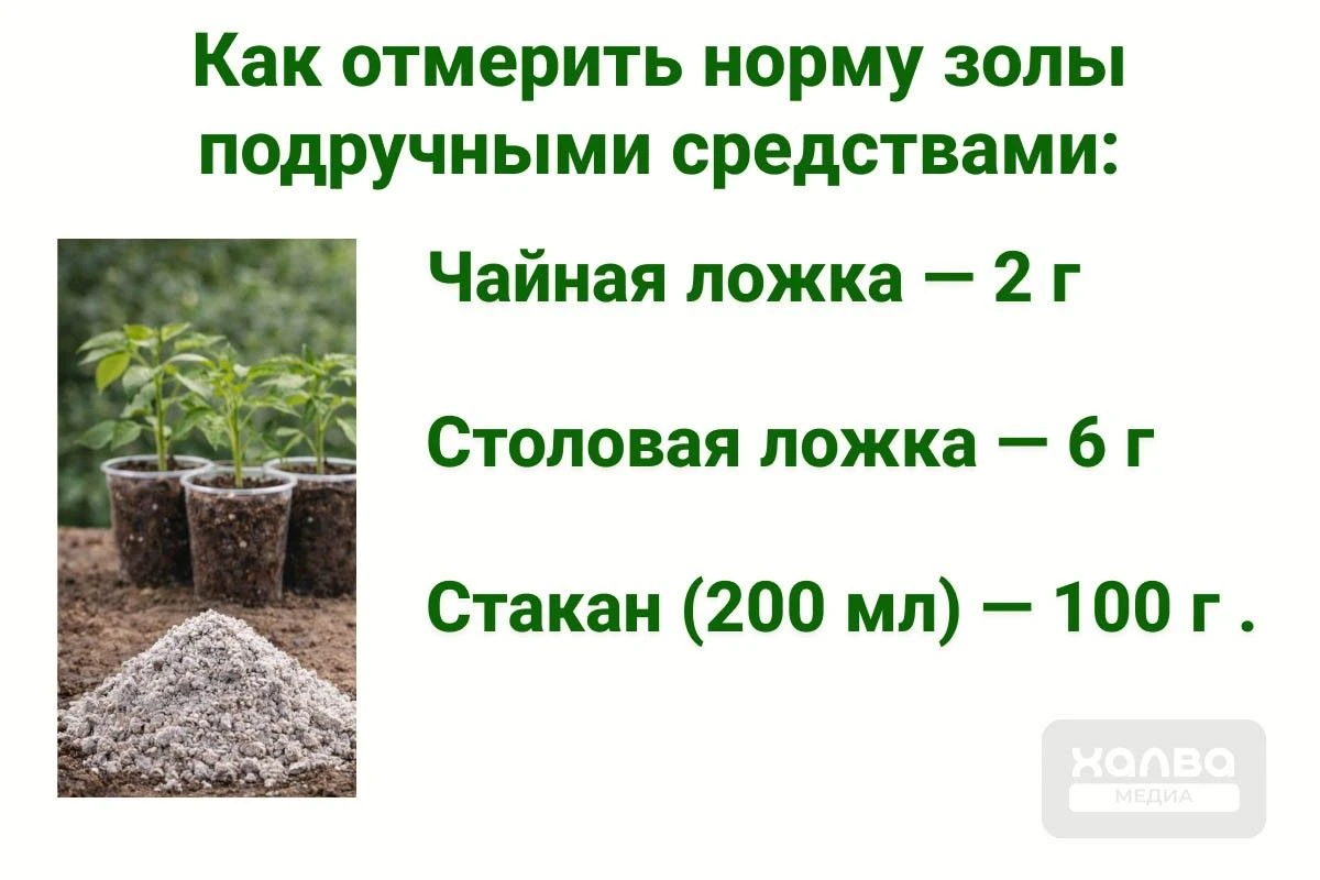 сколько граммов золы в стакане