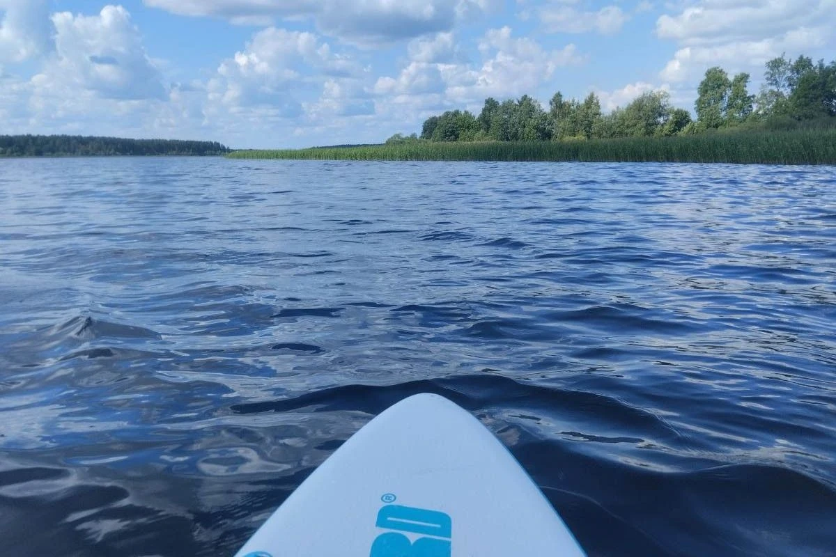 вода и зелень