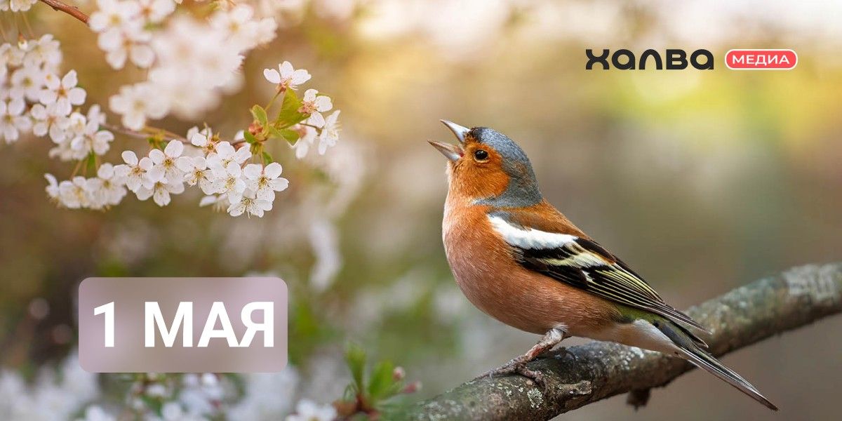 У кого из знаменитостей день рождения 1 мая