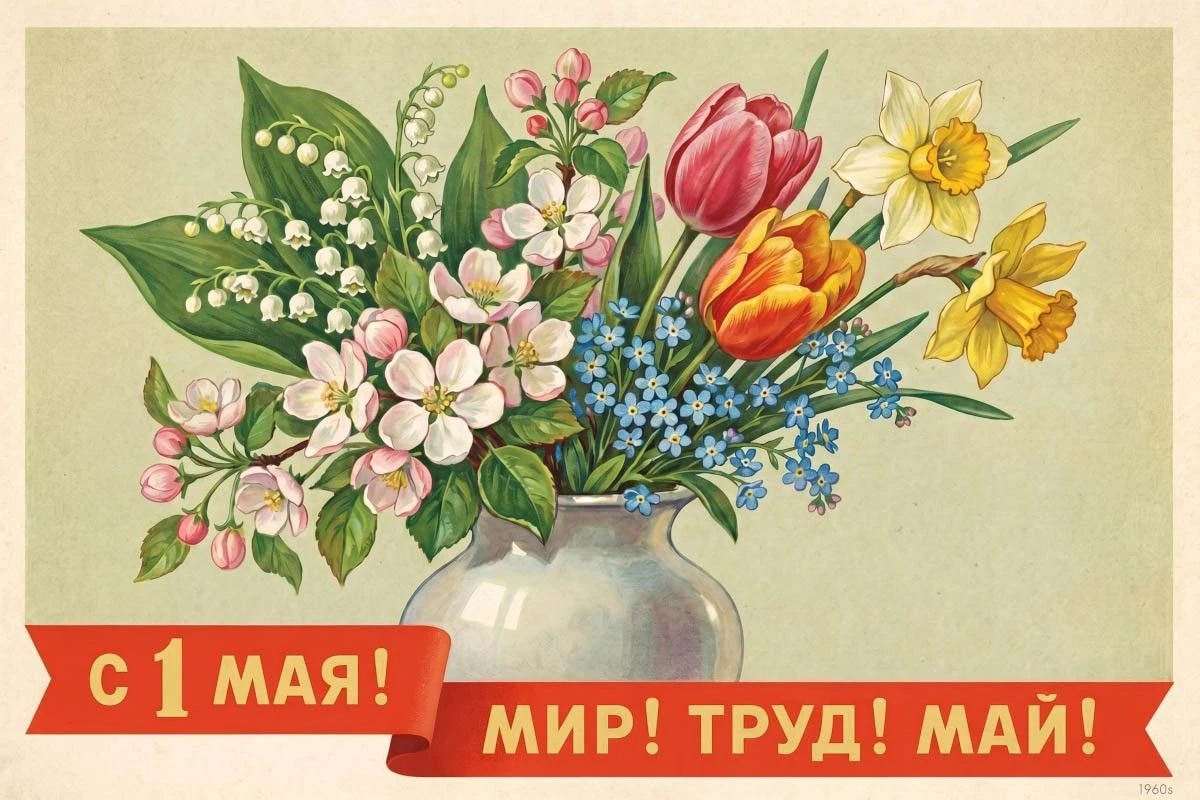 картинка мир труд май
