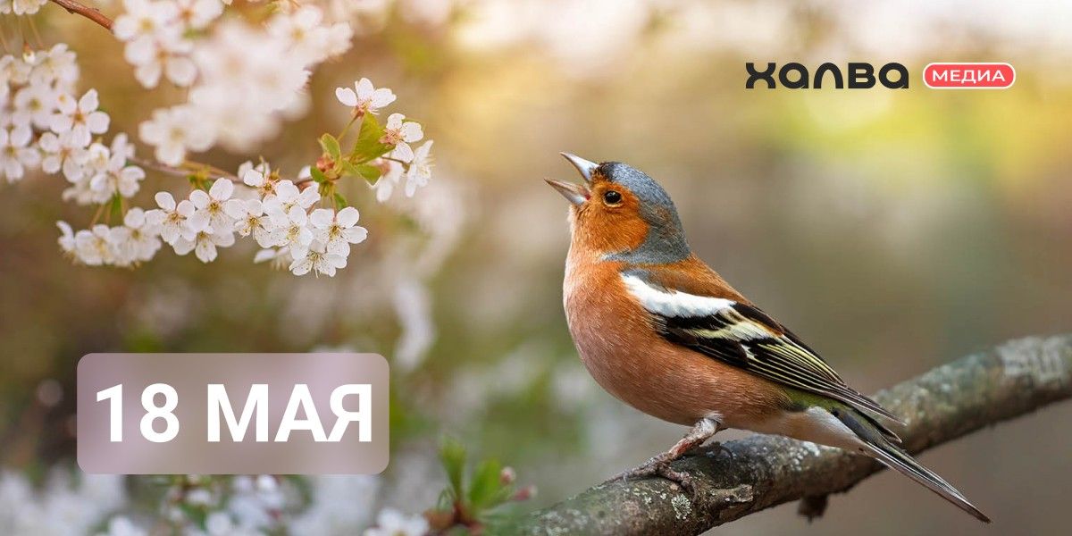 У кого из знаменитостей день рождения 18 мая