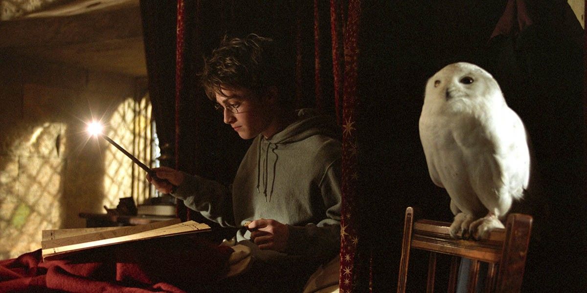 Сериалы по вселенной «Гарри Поттера», которые мы ждем