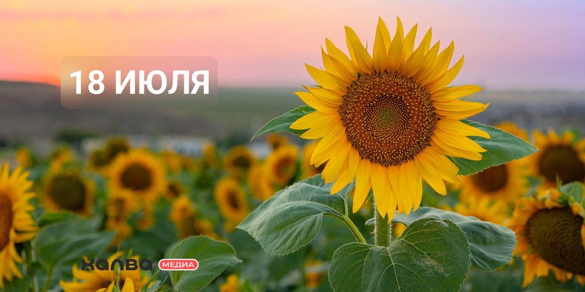 У кого из знаменитостей день рождения 18 июля