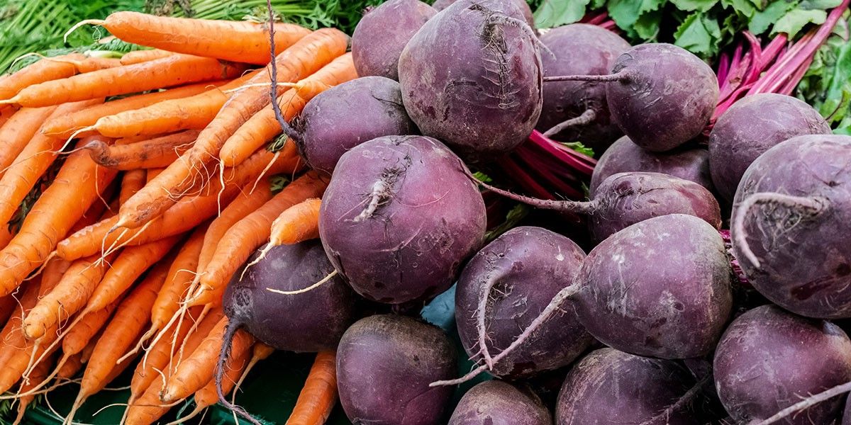 Когда убирать свеклу и морковь с грядки на длительное хранение