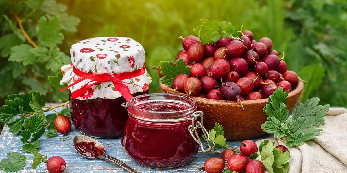 Варенье из крыжовника: 7 вкусных рецептов на зиму
