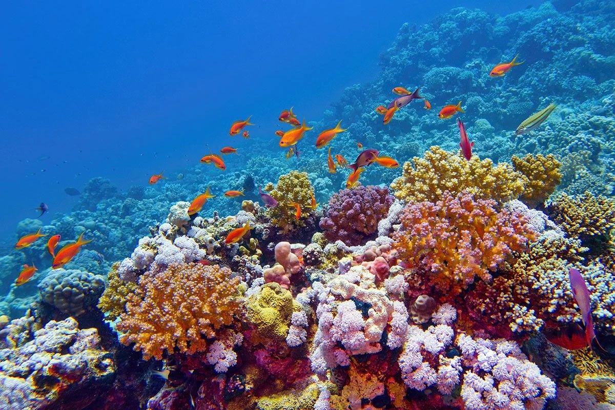 куда поехать на море на осенние каникулы