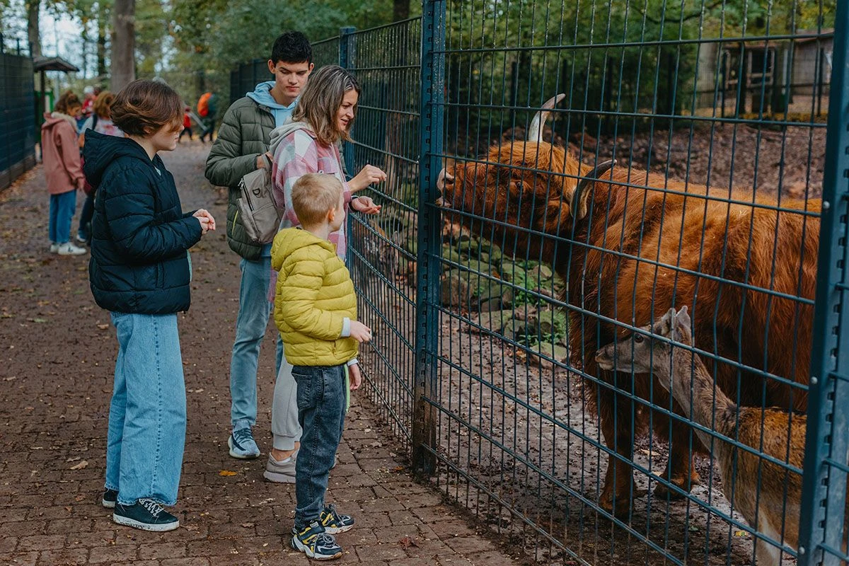 льготы многодетным семьям Москва
