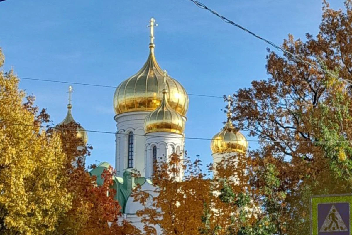 царское село режим работы