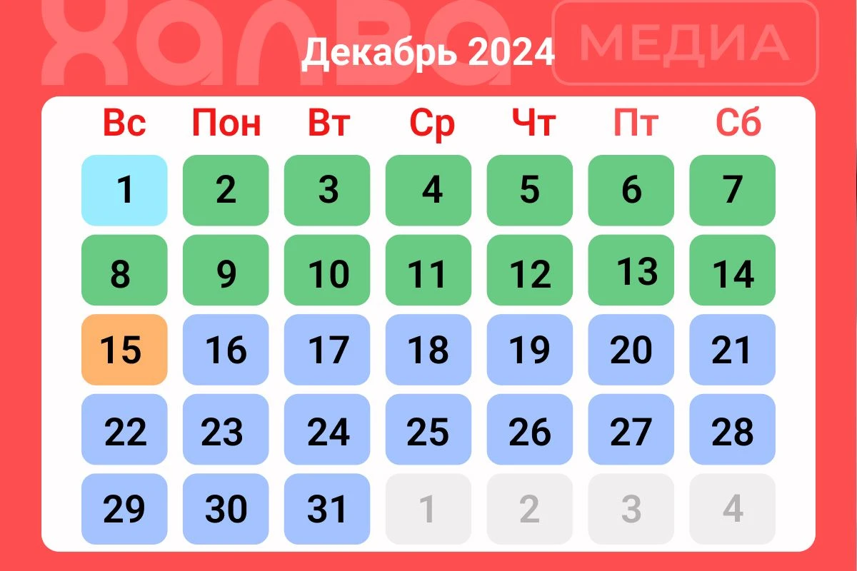 Когда лучше пересаживать комнатные растения в декабре