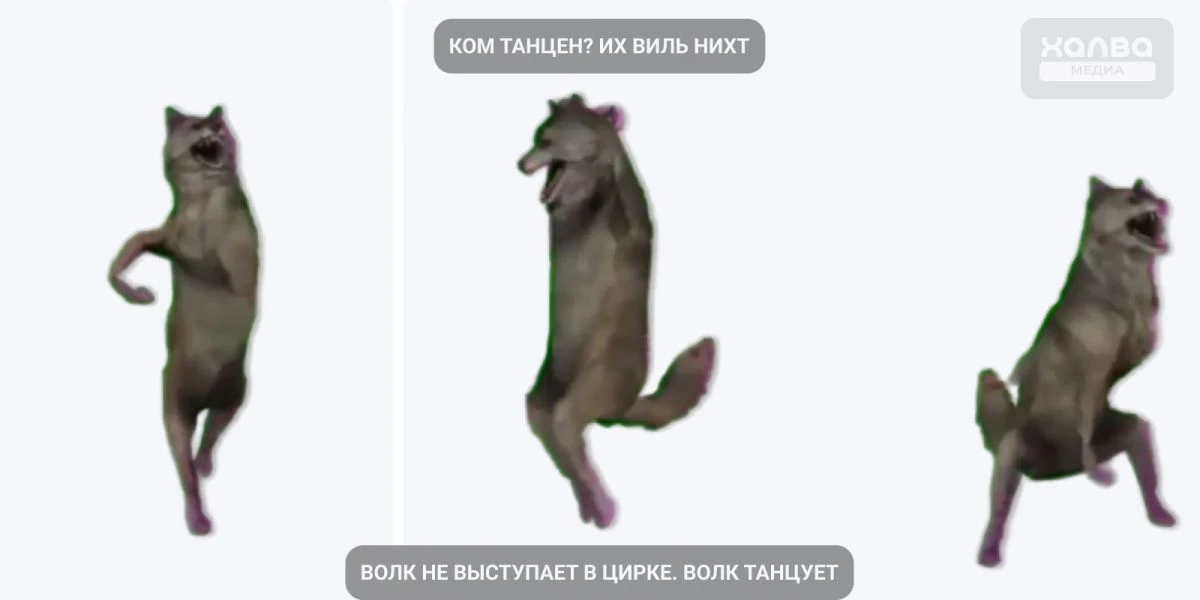 волк ком танцен их виль нихт