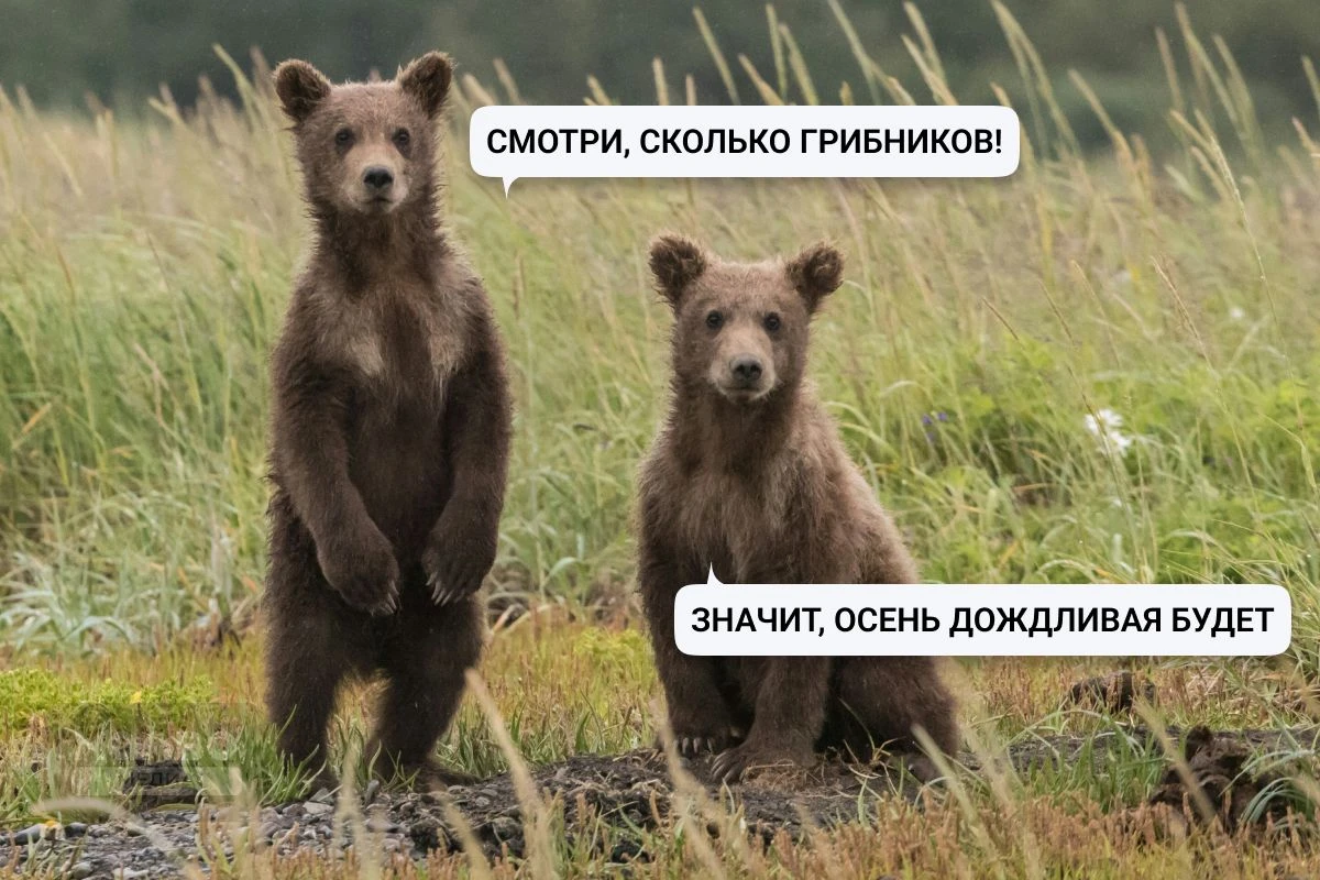 приметы народные