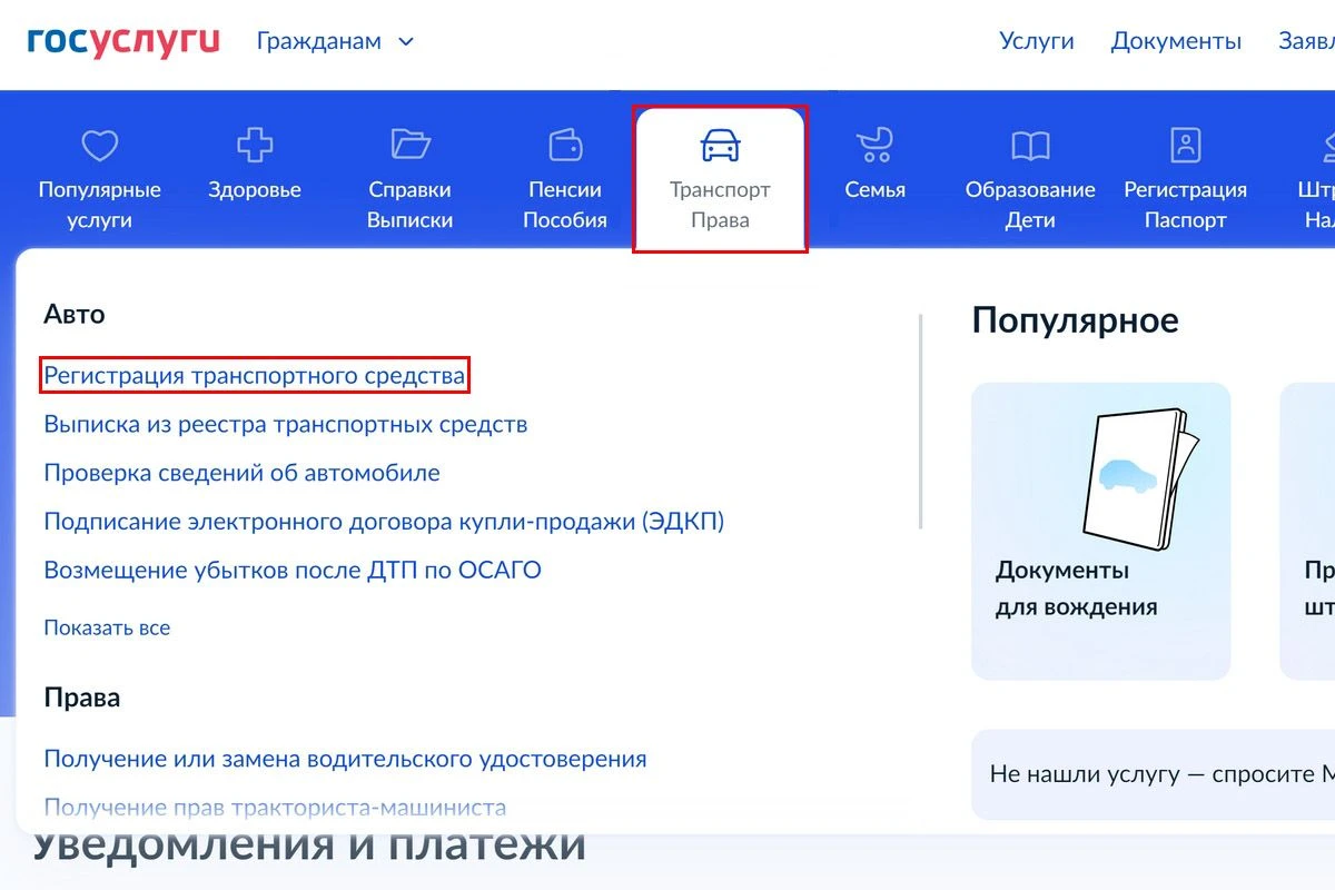 раздел транспорт права