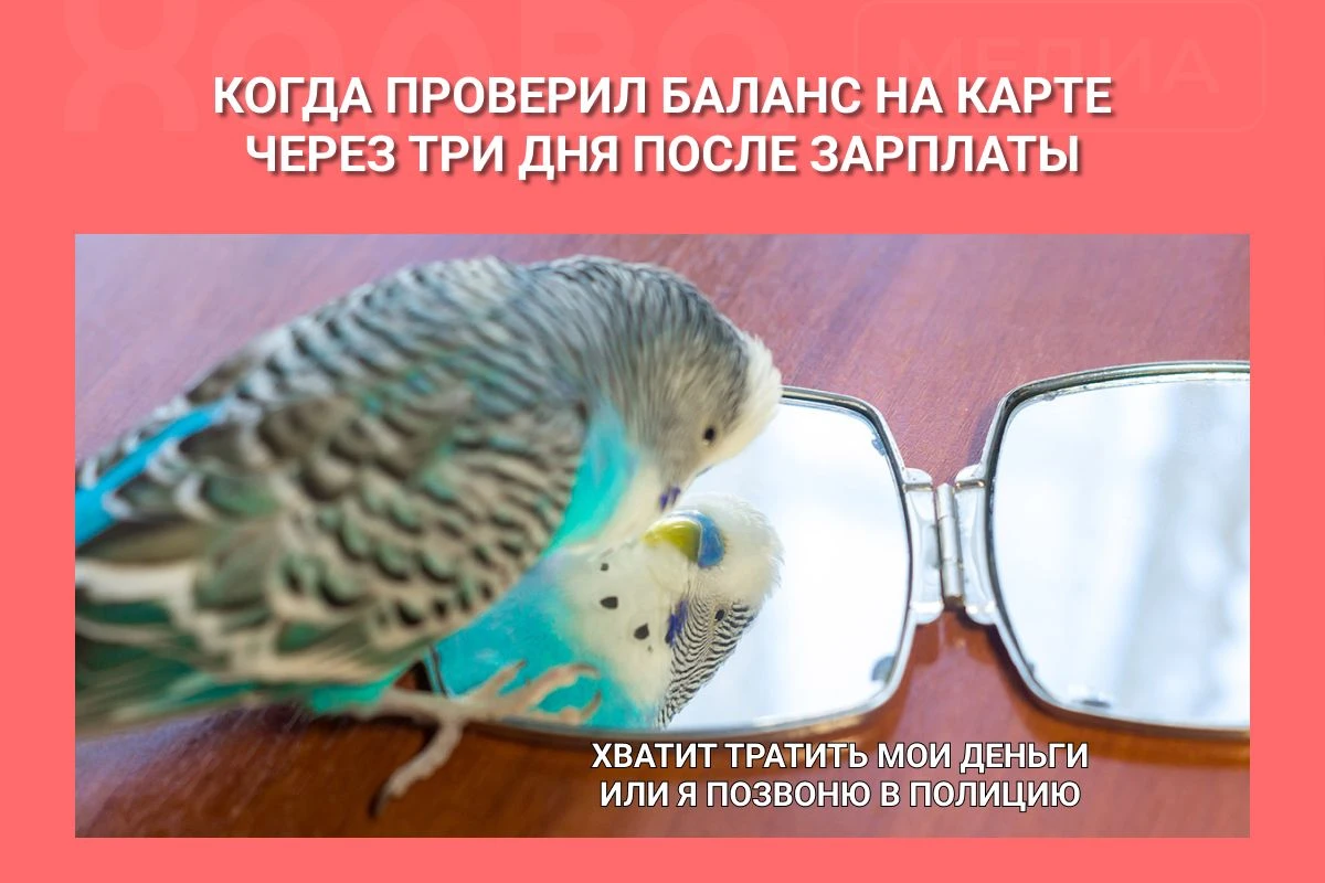 мем про деньги