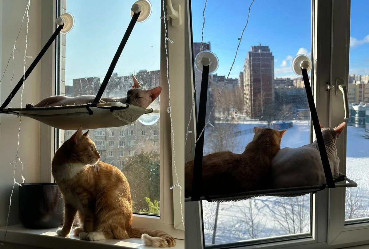 гамак лежанка кошки