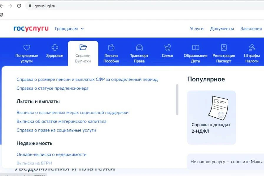 социальные пособия