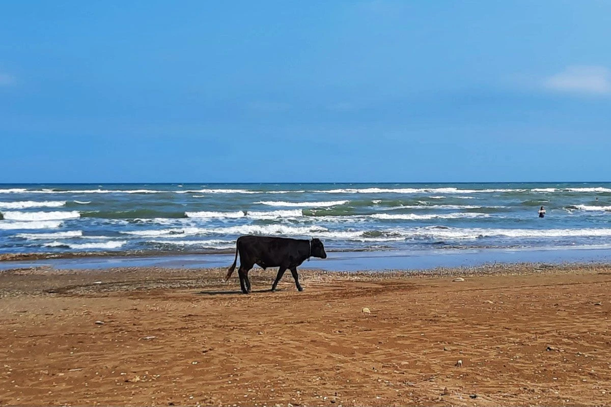 где находится каспийское море