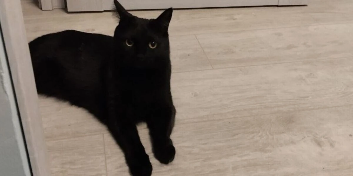 Как я сделала ремонт в хрущевке-двушке за 305 тысяч рублей