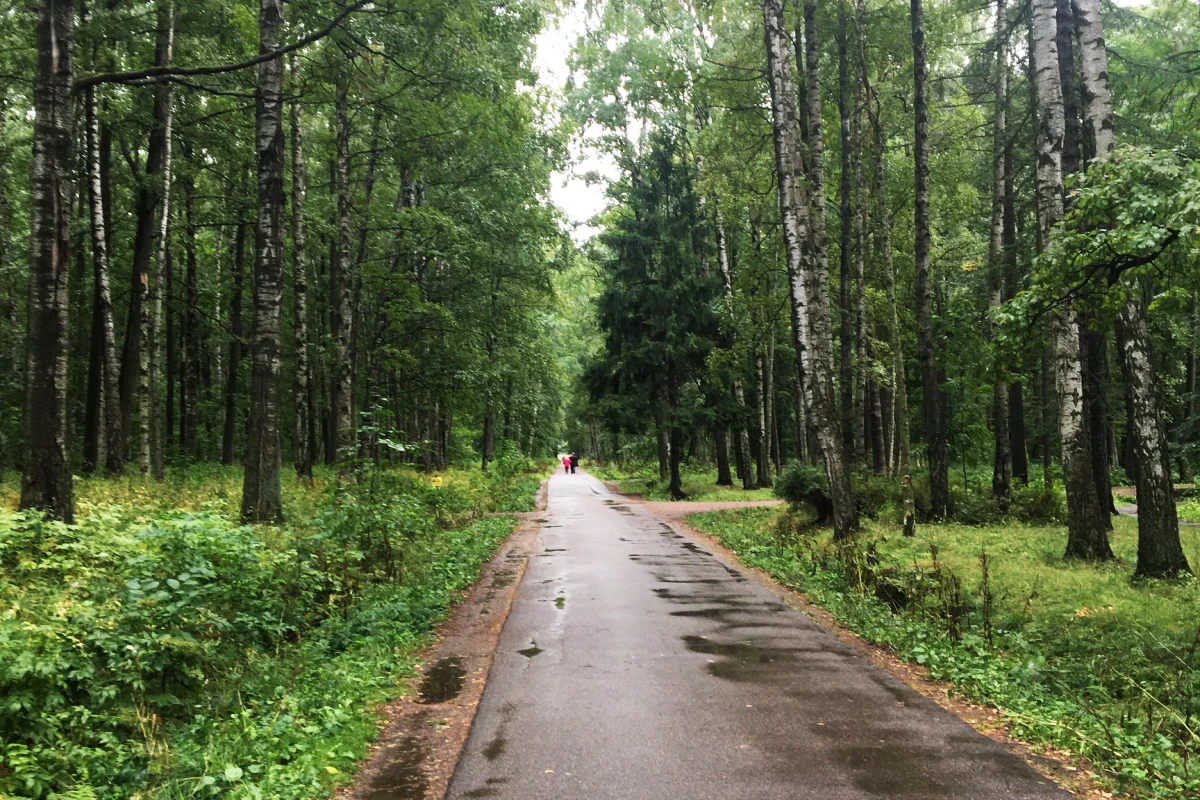 мотивация и дисциплина