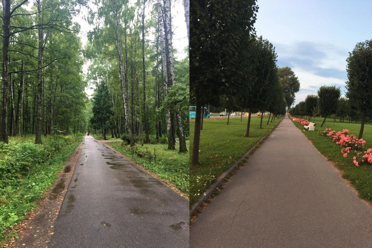 как начать быстро бегать