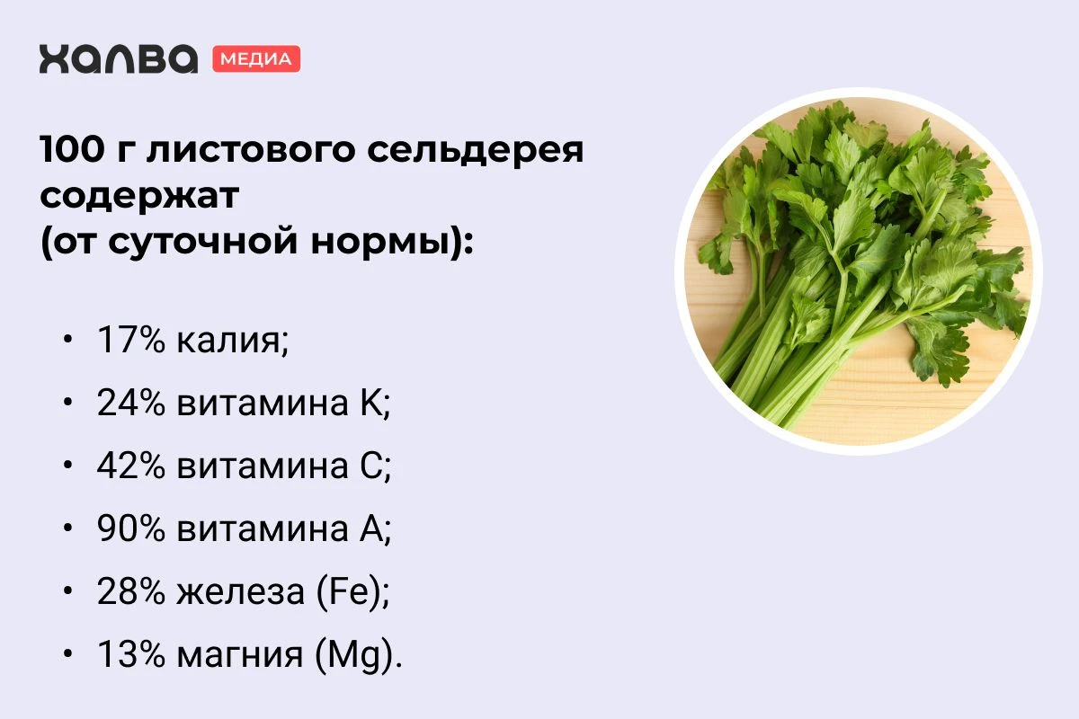 польза листового сельдерея