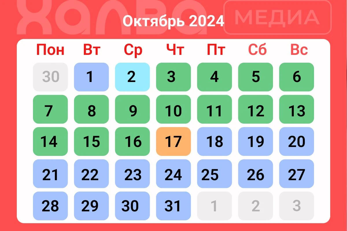 в какое время года лучше пересаживать комнатные растения в октябре