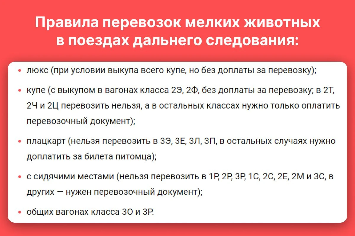 отдых с животными
