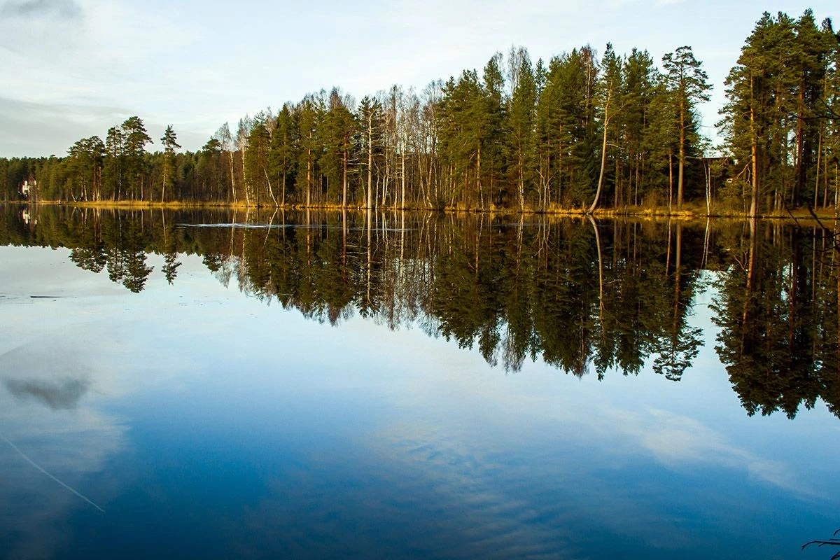 Лучшие экотропы Ленобласти  Как добраться: электричкой до станции Комарово, а затем пройти пару километров к началу тропы.