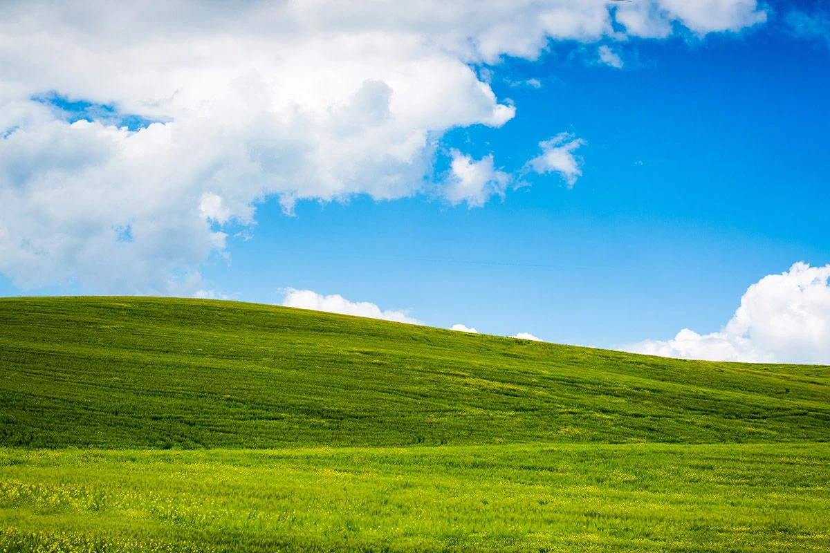 виндовс xp windows хр