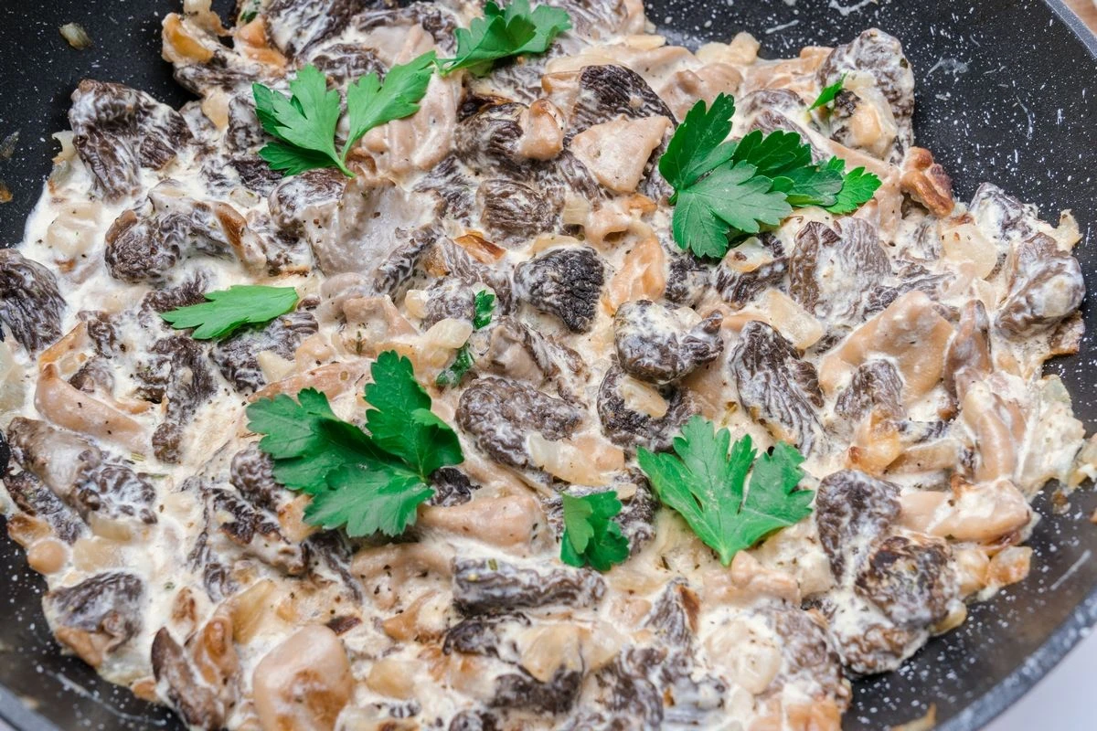 что приготовить из сморчков