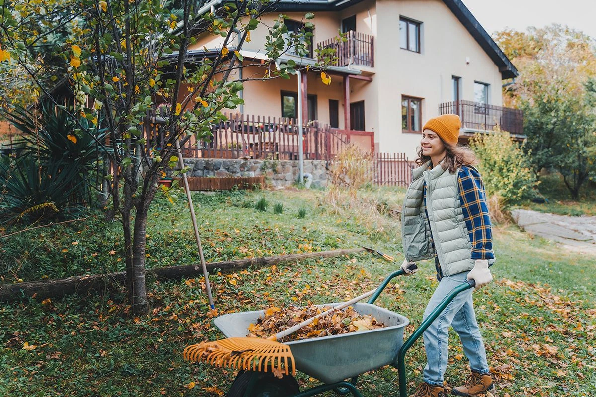 подготовка сада к зиме