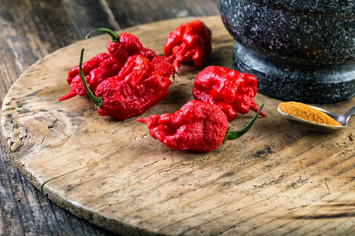 перец острый каролина рипер