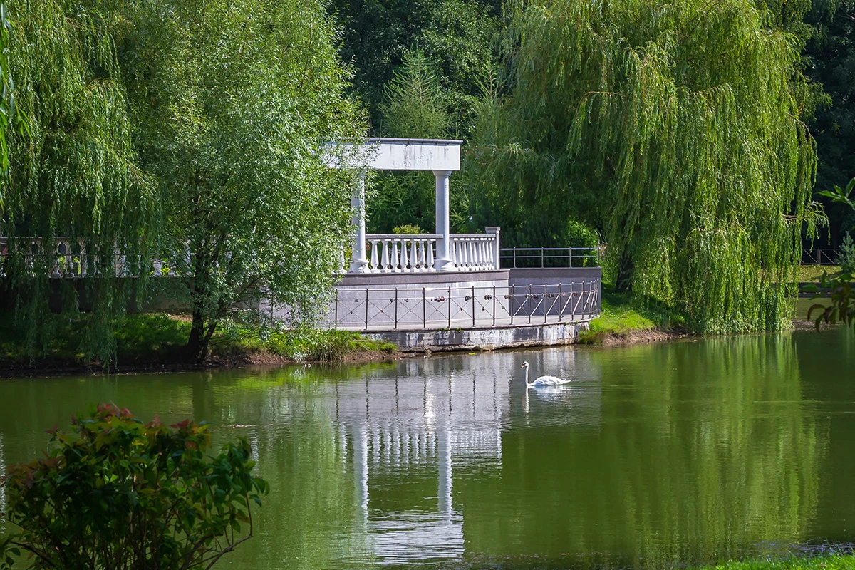 ботанический сад