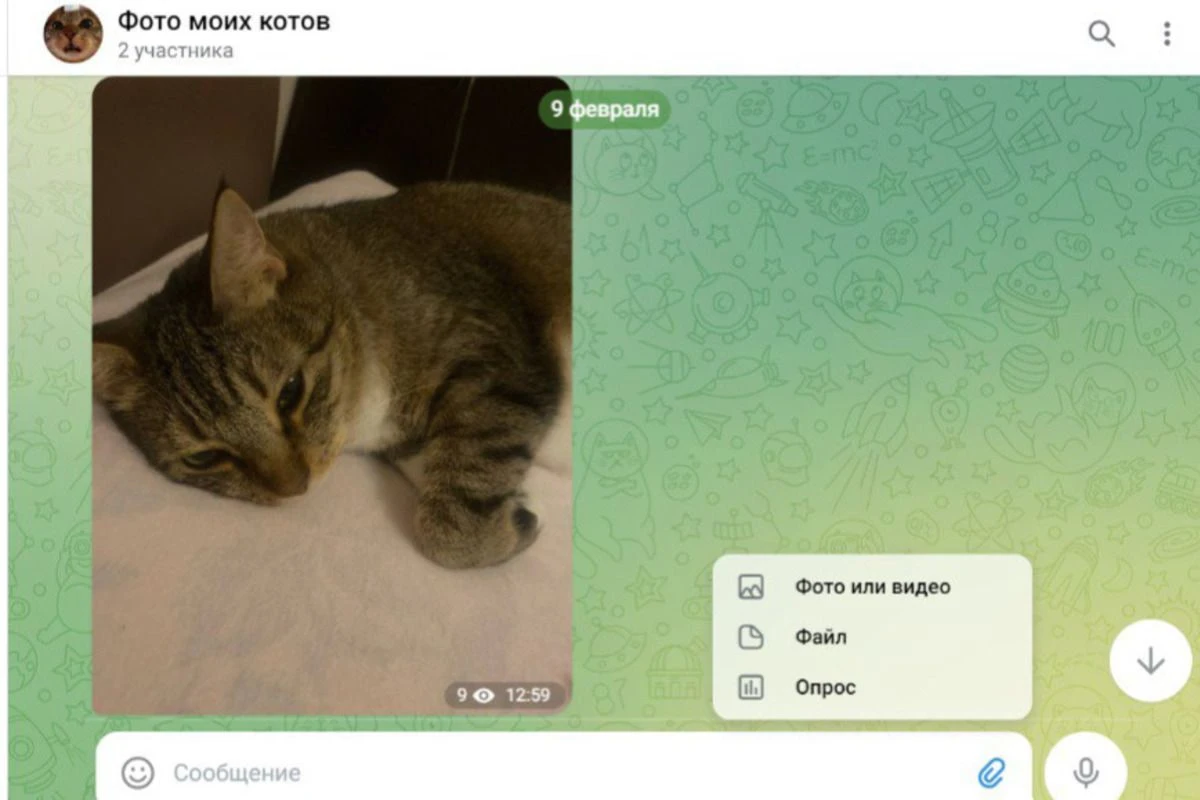 опрос в тг как сделать