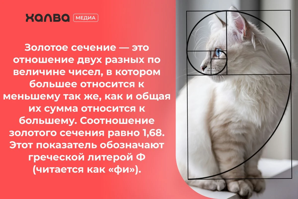 Числа Фибоначчи