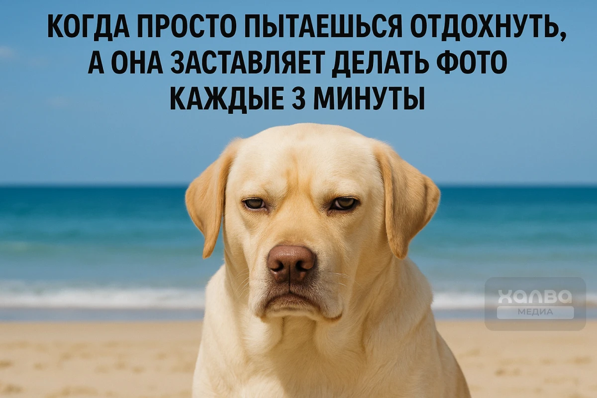 Для кого-то отпуск — не отпуск, если на фото не запечатлена каждая секунда