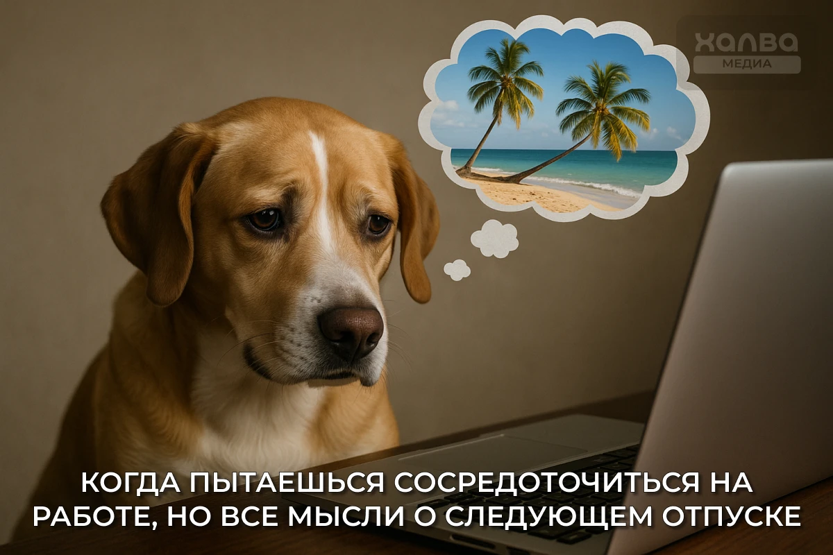 Последние дни перед отпуском самые тяжелые