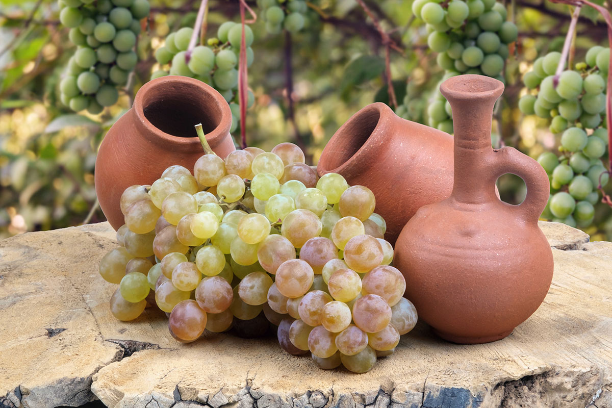 Кувшины квеври. Источник: naskami / Shutterstock / FOTODOM