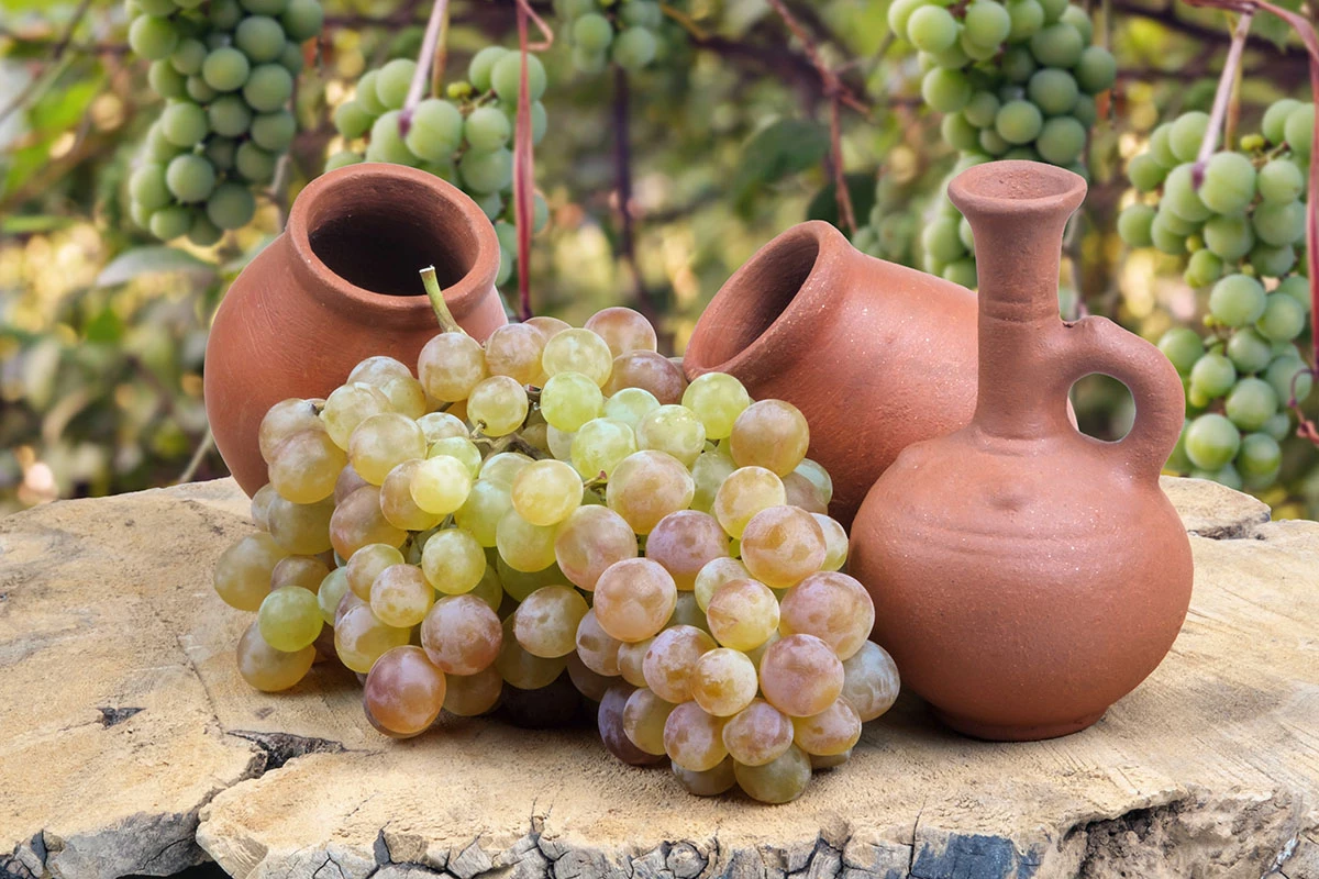 Кувшины квеври. Источник: naskami / Shutterstock / FOTODOM