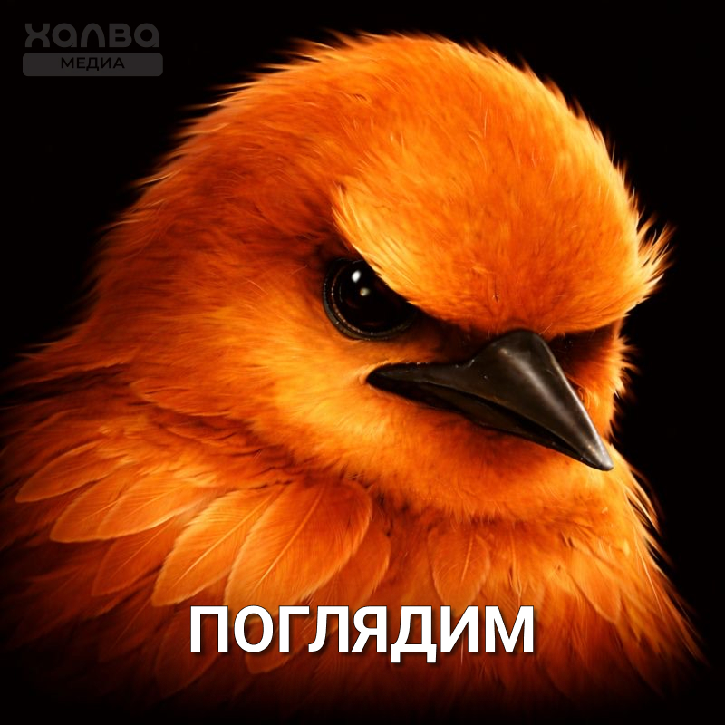 Источник: нейросеть