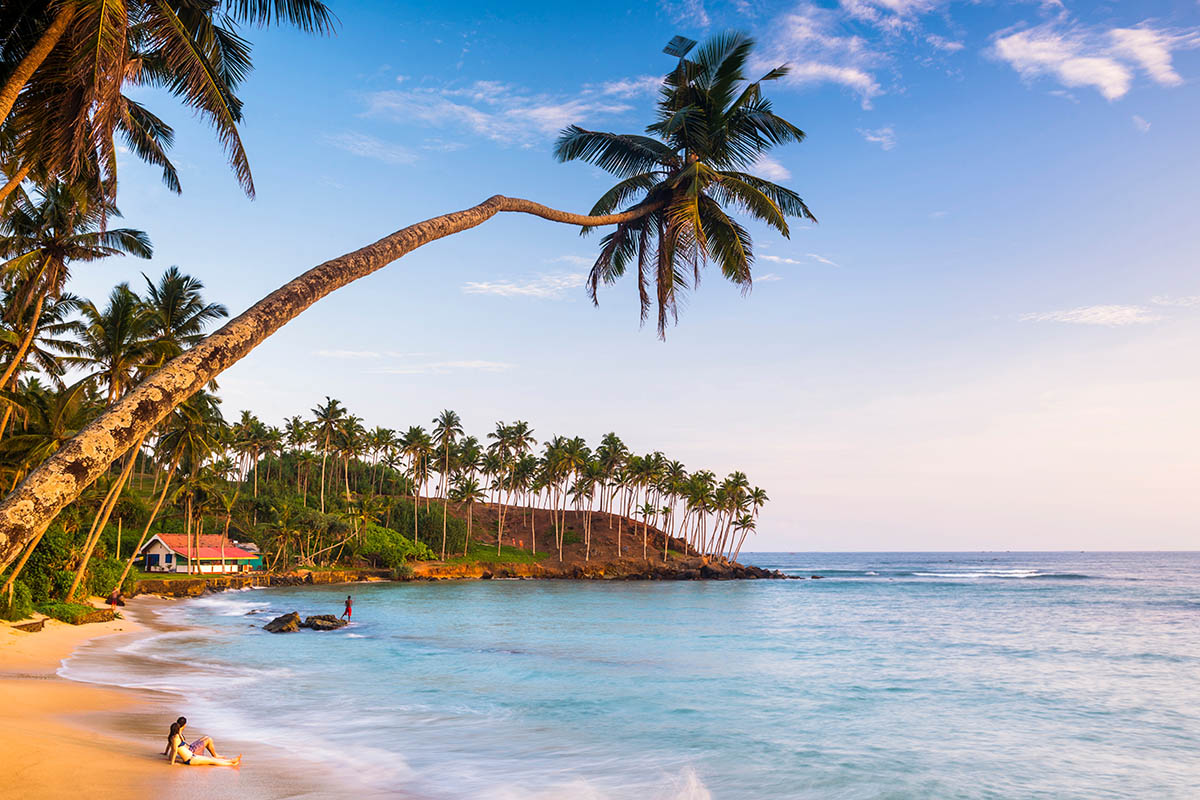 За пальмами и океаном отправляйтесь на Шри-Ланку. Источник: Robert Harding Video / Shutterstock / FOTODOM